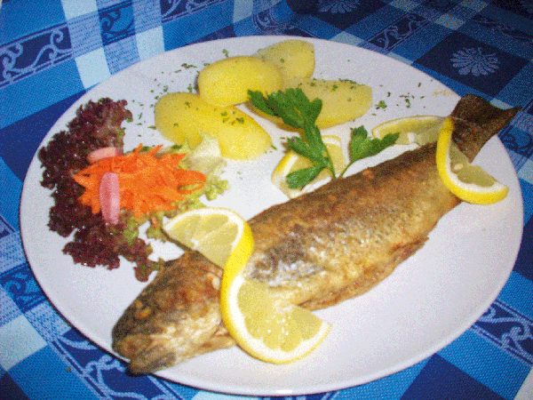 Forelle „Müllerin Art“
